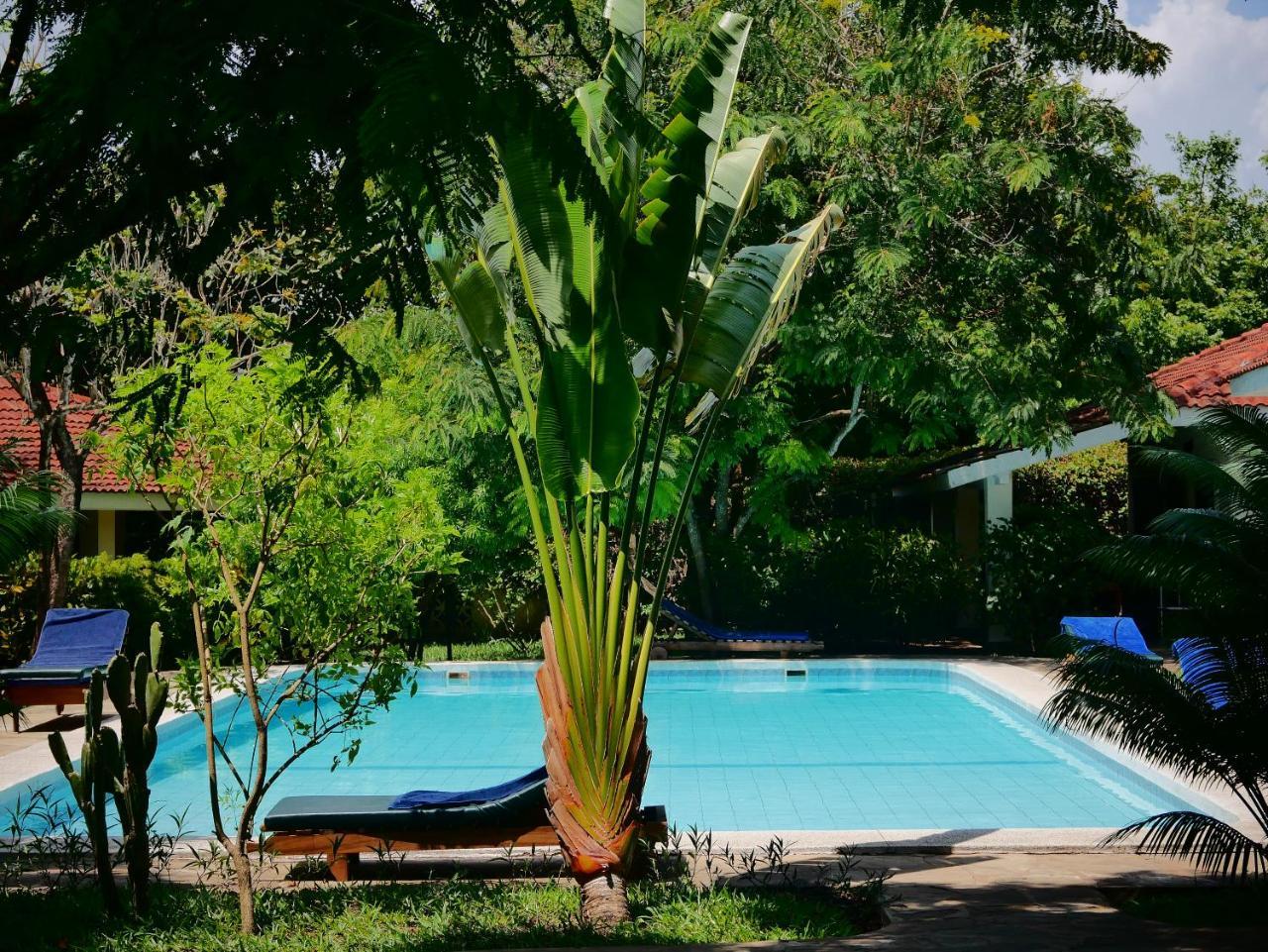 Diani Cottages ディアニ・ビーチ エクステリア 写真